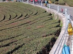 -东钱湖旅游度假区