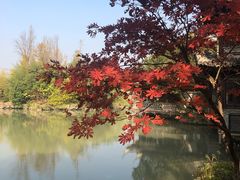 -韩湘水博园