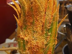 -夜椒瑶·广西大排档(八卦岭店)
