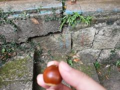 -杭州少年儿童公园