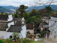 -塔川景区