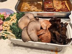 -五星桥原切肥牛火锅(怀德桥店)