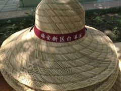 -白洋淀景区