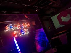 -Darling Queen·Mini·Live·House