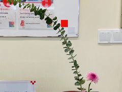 -樱花国际日语(仓山万达中心)