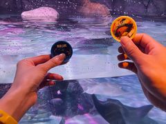 -沈阳海洋探索中心