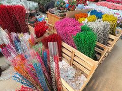 -龙大花卉苗木市场