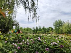 -洛阳市隋唐城遗址植物园