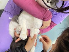 -仁普宠物诊所(住友昌盛新苑店)