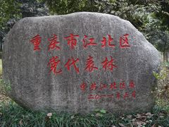 -铁山坪森林公园