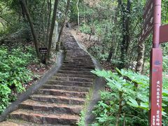 -岳麓山风景名胜区