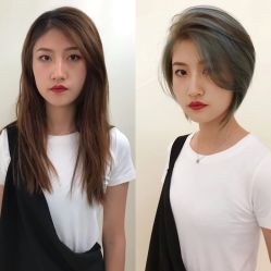 -可可丽舍