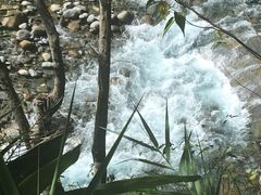 -太鲁阁公园
