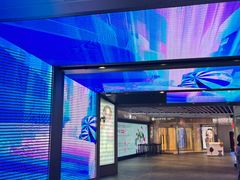 -乐天免税店(明洞店)