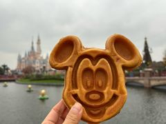 -IL paperino帕帕里诺冰激凌