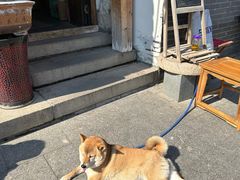 -百花洲