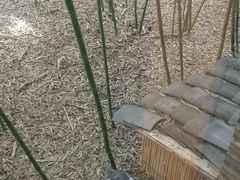 -龙达温泉生态城
