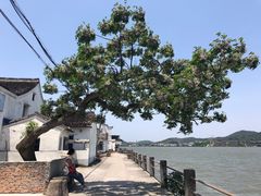 -东钱湖旅游度假区