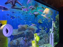 -海合安成都极地海洋公园