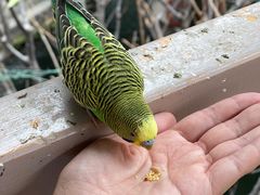 -南宫五洲植物乐园