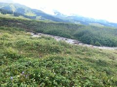 -新疆那拉提国家旅游度假区