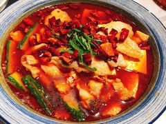 -小吊梨汤·北京菜·烤鸭(鸟巢店)