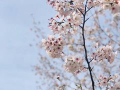 -新天地活力PARK