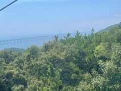 -星海湾跨海大桥