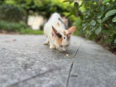 -南方医科大学南方医院(院本部)