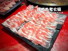 -谭鸭血老火锅(漳州路店)