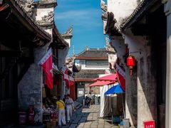 -洪湖生态旅游区