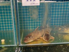 -胖姐渔村(中源大道店)