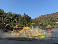 -西双版纳原始森林公园