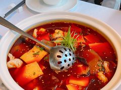 海鲜毛血旺-马仕玖煲·融合菜·酥不腻烤鸭(人大店)