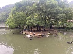 -黔灵山公园