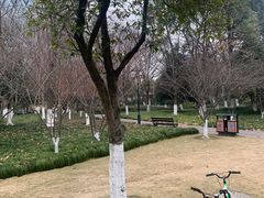 -杭州城北体育公园