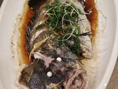 -福建美食城(老君堂店)