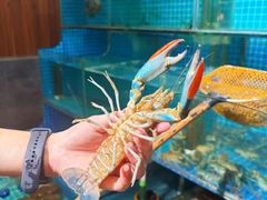 -三妹小龙虾·黄油蟹(华侨城总店)