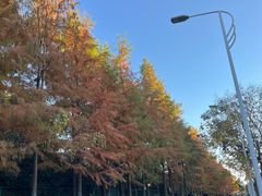 -秀沿路(地铁站)