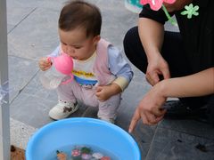 -茯茶镇