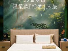 -Simmons席梦思床垫(市北富尔玛店)