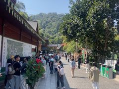 -野象谷景区