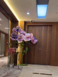 -杭州米兰柏羽医疗美容医院