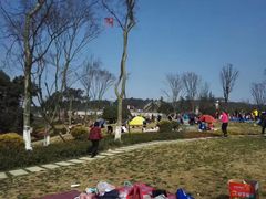 -铁山坪森林公园