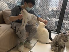 -怪兽屋·羊驼·猫咖·狗咖(俊华广场店)