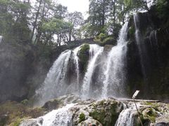 -黄龙山原始森林景区