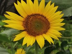 -中共五大会址纪念馆