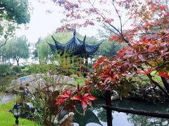 -杭州西湖柳莺里酒店