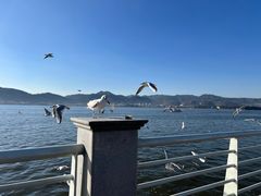 -海埂大坝
