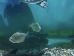 -秦皇岛新澳海底世界